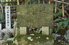 camp27 (167)_thumb.png